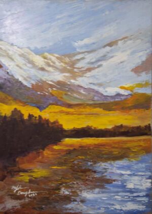 (الرقم المرجعي 157)