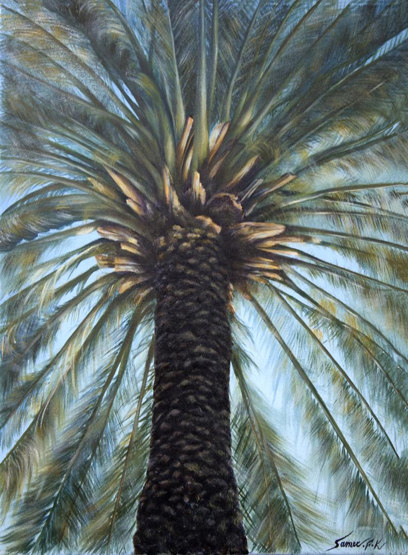 (الرقم المرجعي 161)