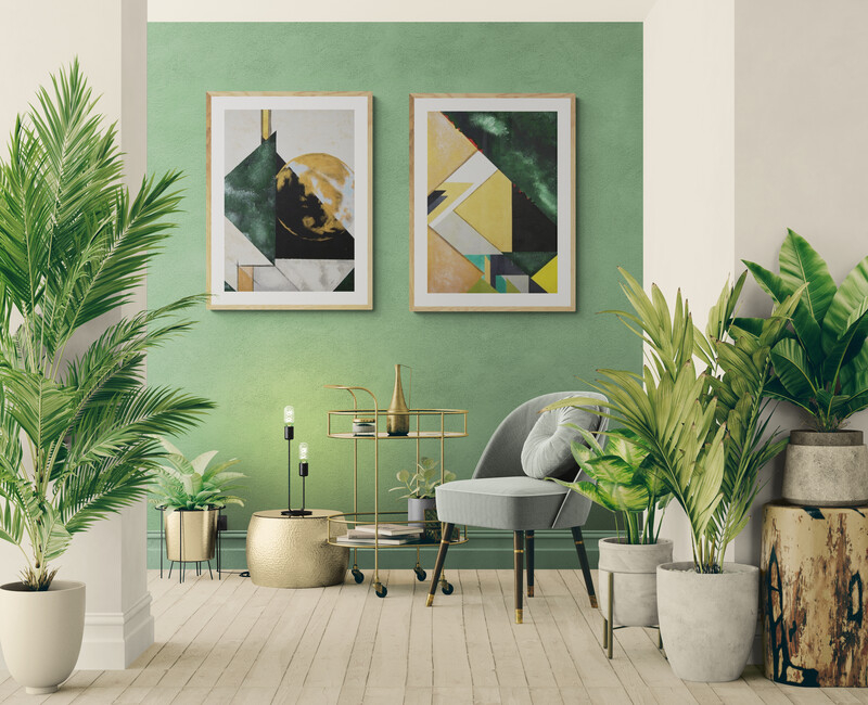 (الرقم المرجعي 172) - الصورة 2