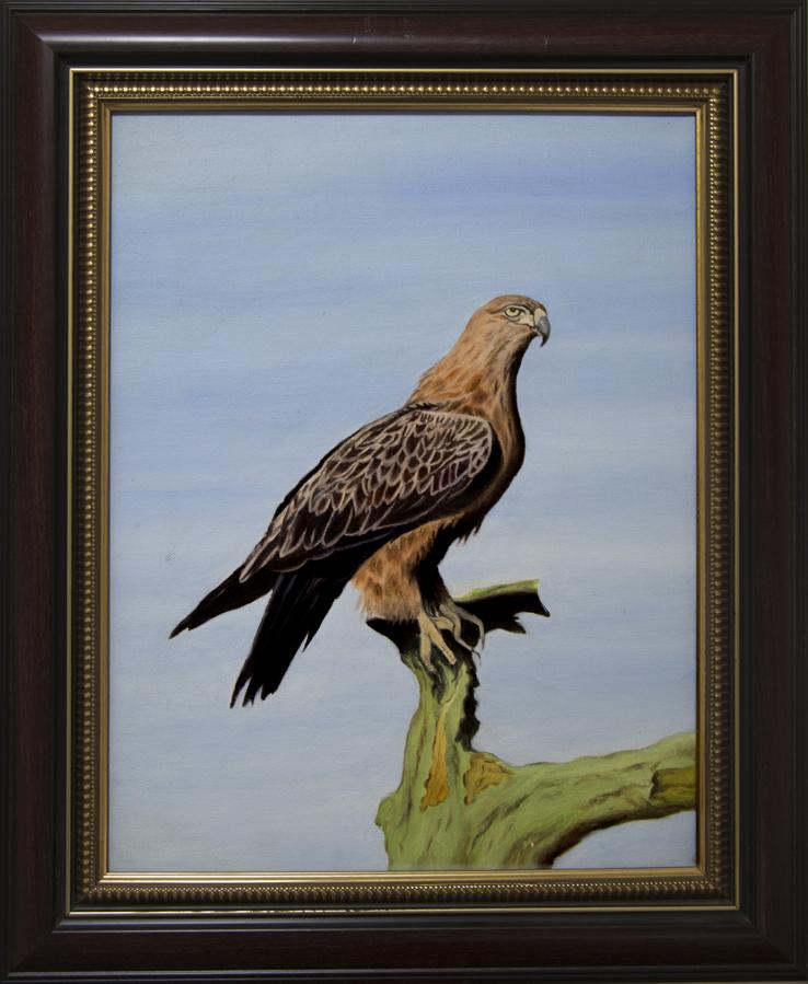 (الرقم المرجعي 274)