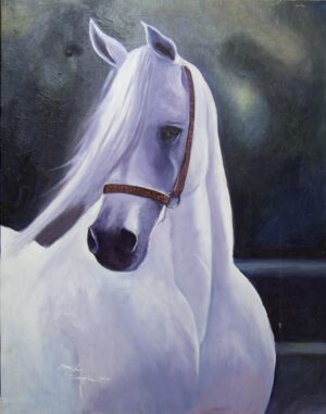 (الرقم المرجعي 288)