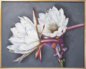 (الرقم المرجعي 366)