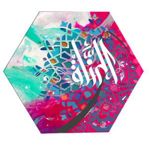 (الرقم المرجعي Dij 133(14))