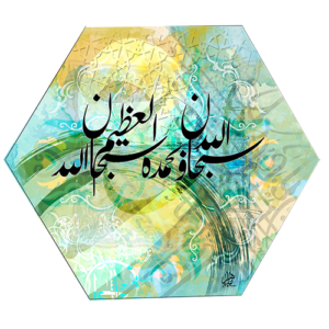 (الرقم المرجعي Dij 133(16))