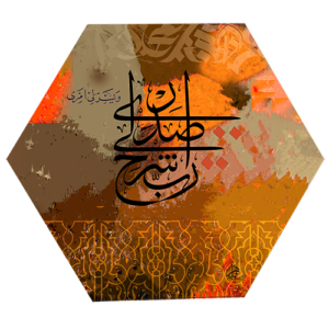 (الرقم المرجعي Dij 133(18))