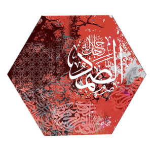 (الرقم المرجعي Dij 133(3))