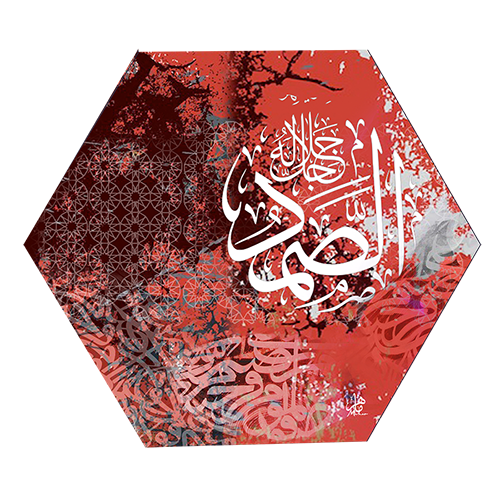 (الرقم المرجعي Dij 133(3))
