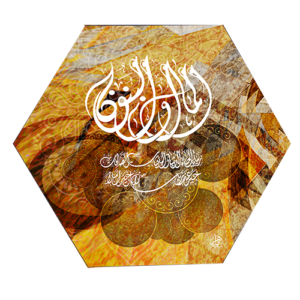 (الرقم المرجعي Dij 133(4))