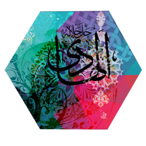 (الرقم المرجعي Dij 133(5))