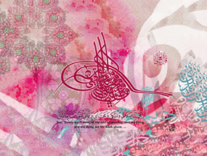 (الرقم المرجعي Dij 300(105))