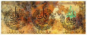 (الرقم المرجعي Dij 300(117))