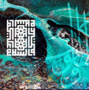 (الرقم المرجعي Dij 300(31))
