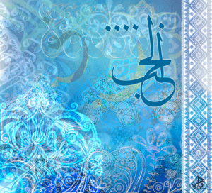 (الرقم المرجعي Dij 300(65))